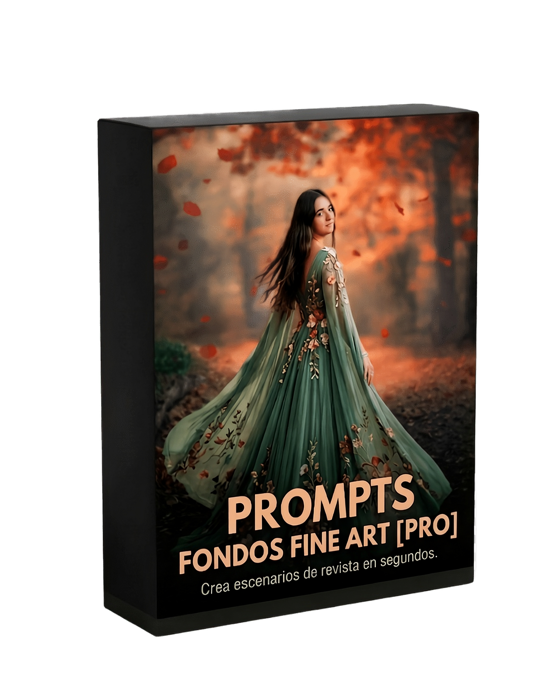 Prompts Fine Art Pro